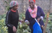 Feed and Empower Domestic Violence Survivors-Kenya