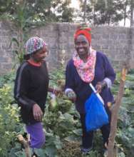 Feed and Empower Domestic Violence Survivors-Kenya