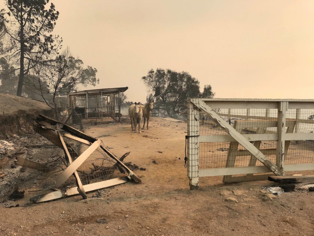Fire Response in Ventura County