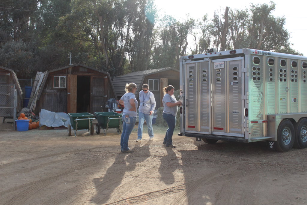 Fire Response in Ventura County