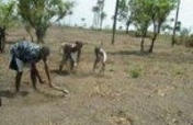 Return 150 children to school in Gbendembu.