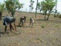 Return 150 children to school in Gbendembu.