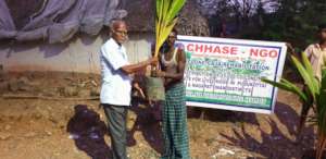 coconut plant distribution