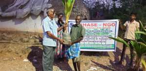 coconut plants distribution