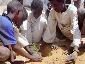 Children reseeding the rangeland of Darfur