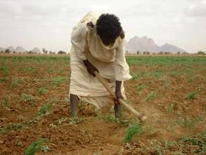 Local man farms his fields