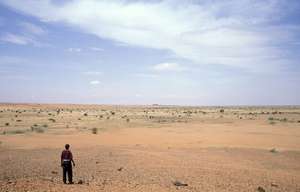 Barren lands of Darfur: forests are long forgotten