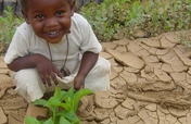Greening Darfur: transform lives and landscapes