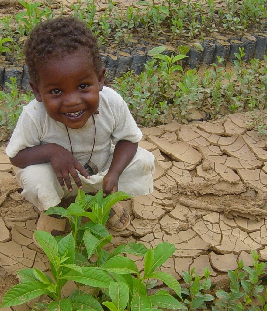 Greening Darfur: transform lives and landscapes
