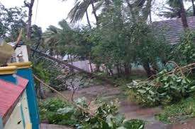 Gaja Cyclone Relief to affected families