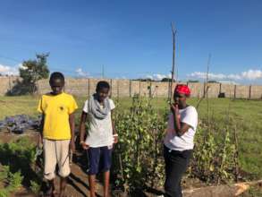 Working at the vegetable garden
