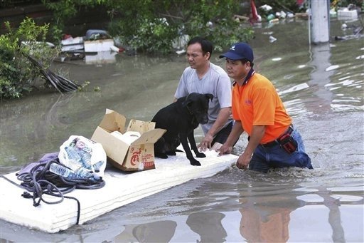 Taiwan Typhoon Relief and Assistance Fund