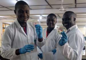 Workshop participants celebrating phage isolation.