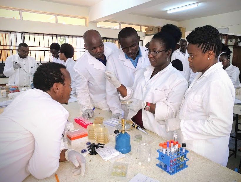 Combating Antibiotic Resistance in Africa