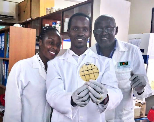 Combating Antibiotic Resistance in Africa