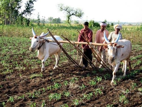 Increasing Income for Landless Farmers in India