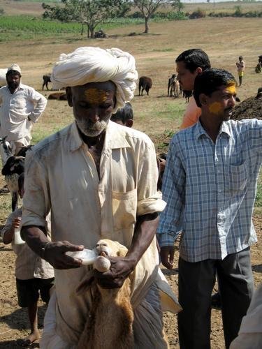 Increasing Income for Landless Farmers in India