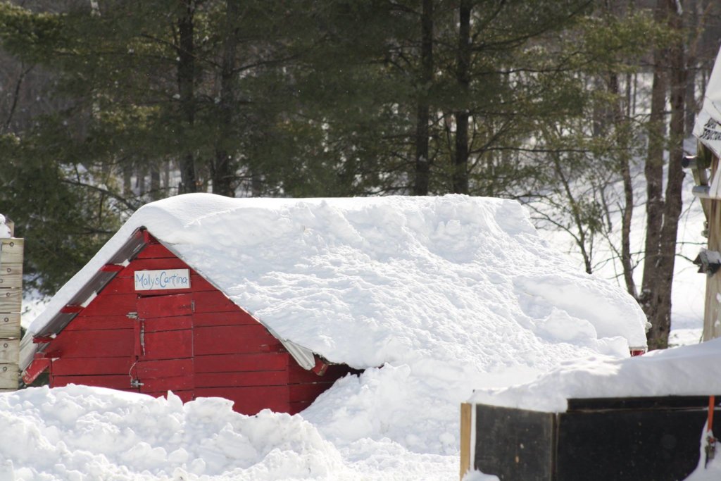 Warm Fingers, Toes, Water Bowls... and Hearts