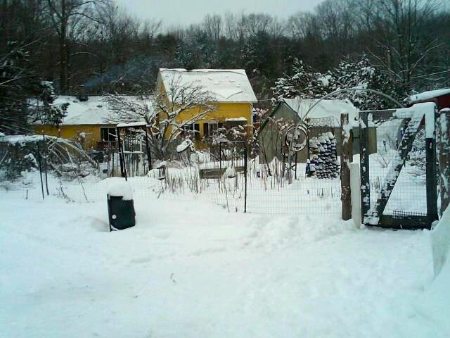 Warm Fingers, Toes, Water Bowls... and Hearts