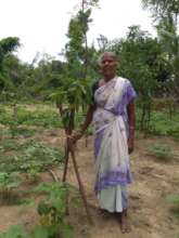 Maintenance work of Trees