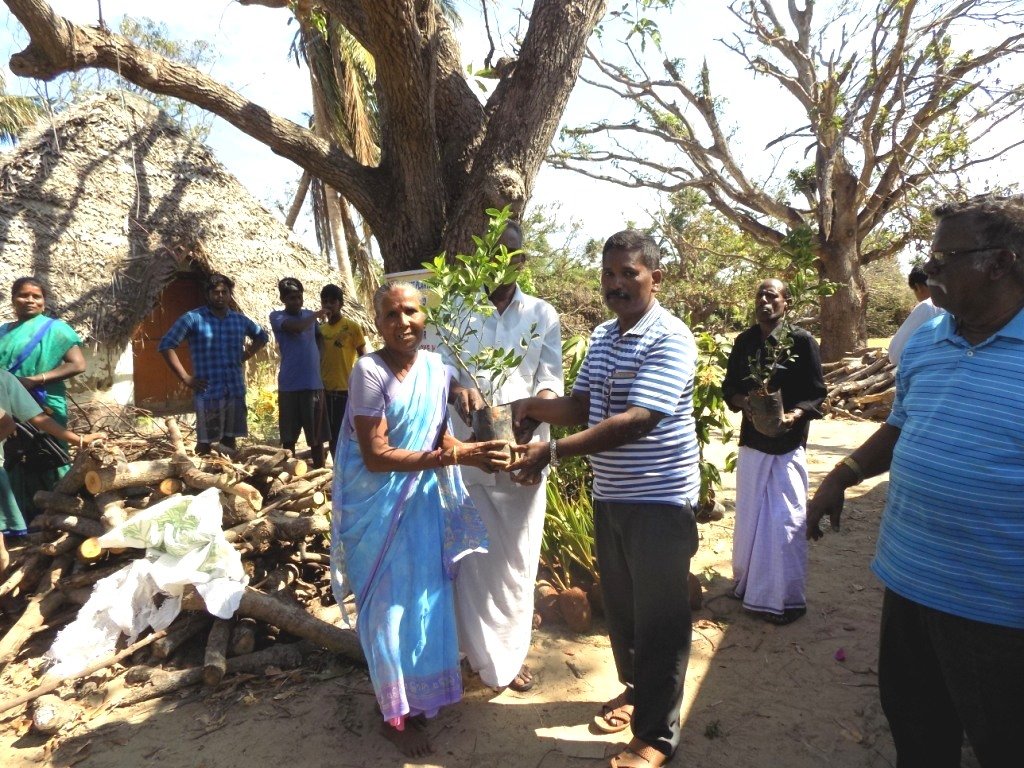 Relief and Recovery to Gaja Cyclone Hit Tamilnadu