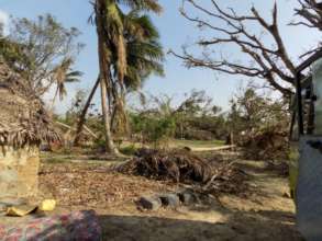 An area of Gaja Cyclone affected