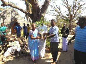 Seedlings for Livelihood for Gaja Cyclone Victims
