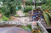 Devastation of Cyclone Gaja in South India