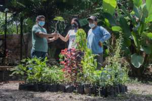 First donations of seedlings to neighbors