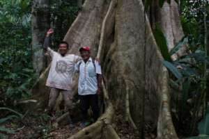 Tour Guides