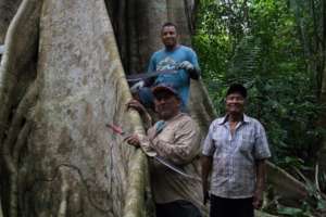 Medicinal Plant Inventory