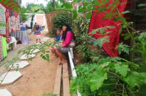 Comando Matico's medicinal garden