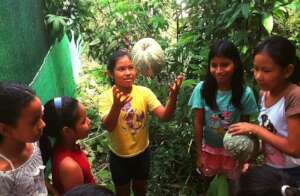 Children playing in the orchard of Alianza Arkana