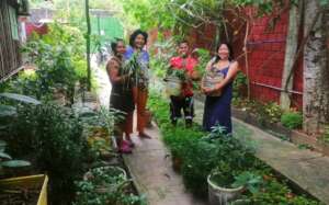 Donating plants to Comando Matico