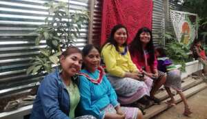 Comando Matico's medicinal garden