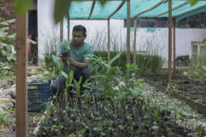 Marcos, project leader