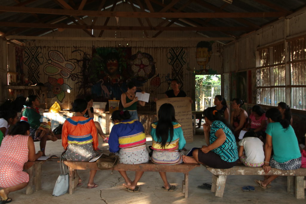 Support Indigenous Medicinal Gardens in the Amazon
