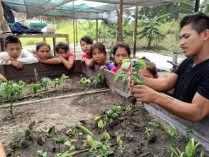 Children learning transplantation