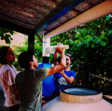 Rainwater collection systems and filters
