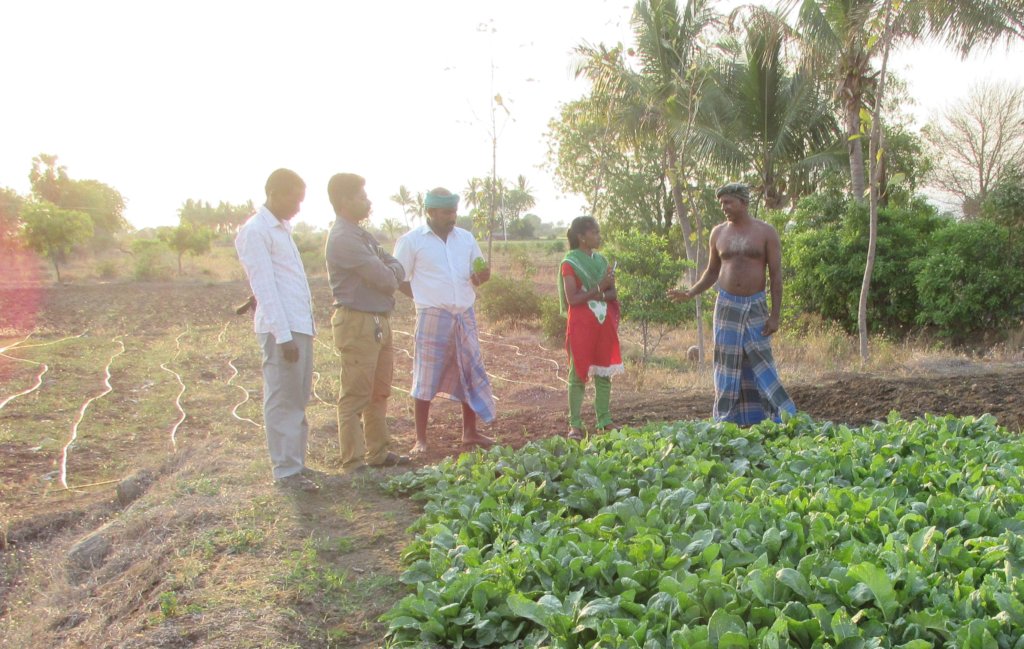 Plant trees for Gaja Cyclone recovery