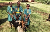 Vocational Training for Displaced Ugandan Children