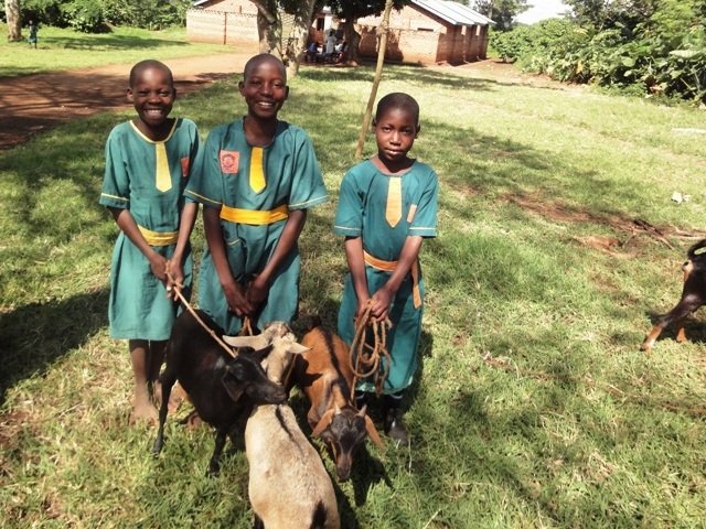 Vocational Training for Displaced Ugandan Children