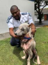 Nellie and Inspector Jeffery Mfini (before)