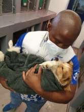 Animal Welfare Nurse Leonard caring for a patient.