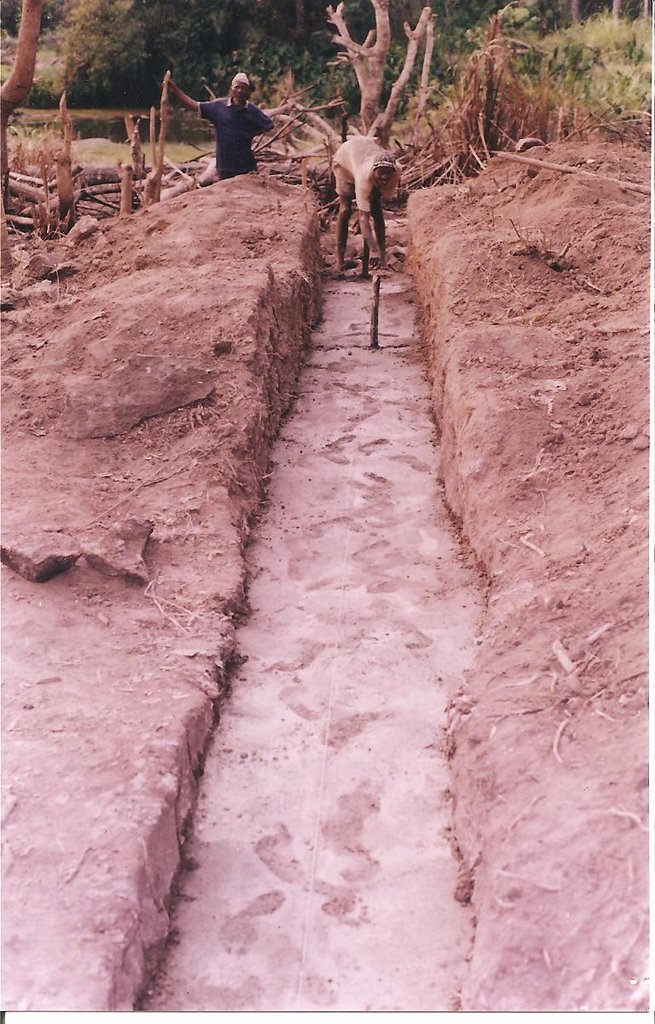 Foundation of the building