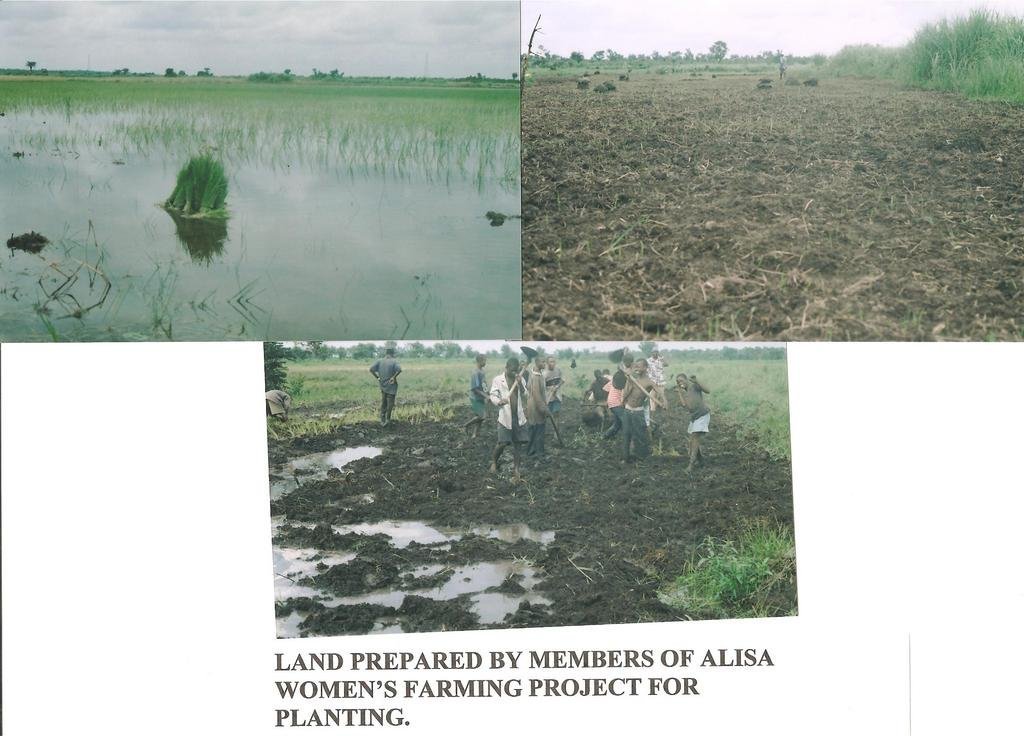 Ensure Food Security for 600 Farm Families