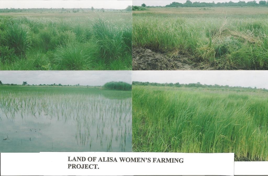 Ensure Food Security for 600 Farm Families