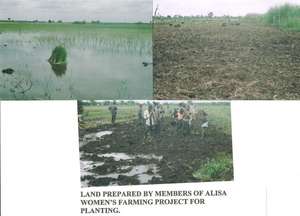 Land prepared for planting