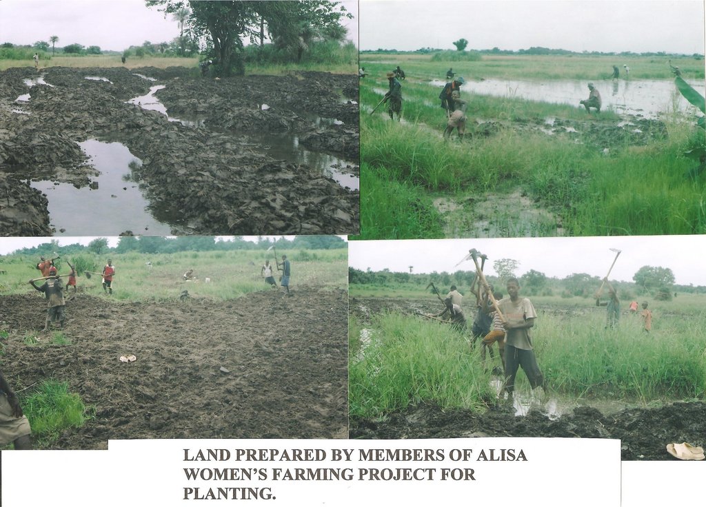 Ensure Food Security for 600 Farm Families