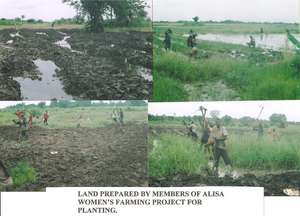 Ensure Food Security for 600 Farm Families